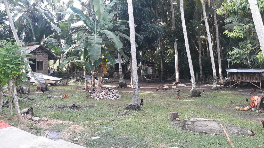 James Homestay Siquijor Luaran gambar